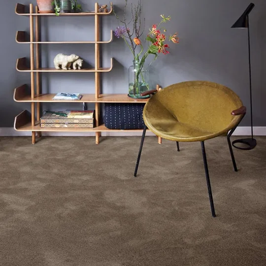 Moquette — Épice