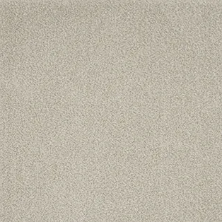 Moquette — Dune