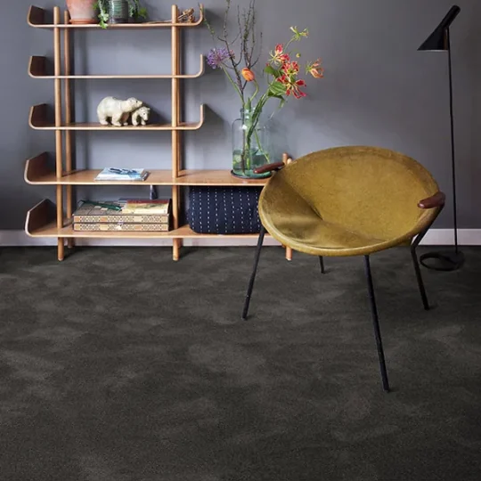 Moquette — Suie