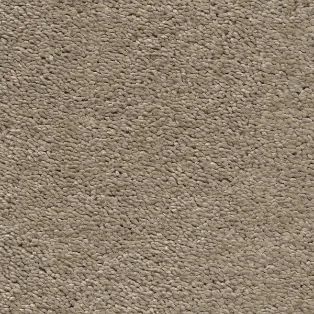 Moquette — Noisette
