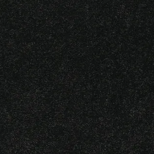 Moquette — Minuit