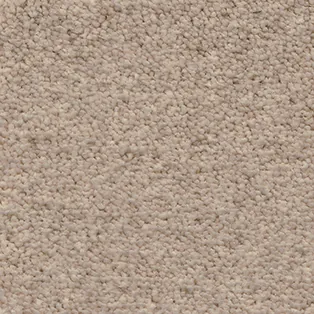 Moquette — Bruyère