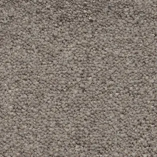 Moquette — Roseau