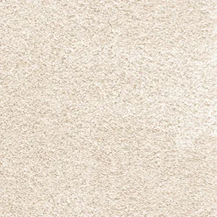 Moquette — Coquille