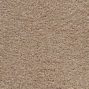 Moquette — Muscade