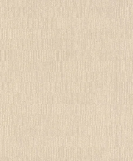 Papier peint — Coquille