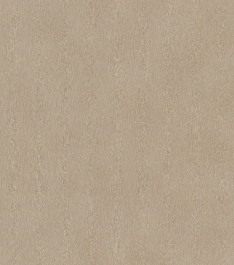Papier peint — Bambou