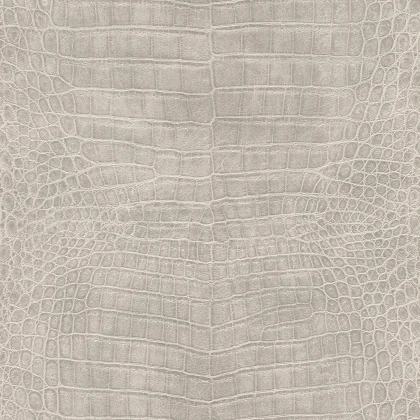 Papier peint — Ficelle