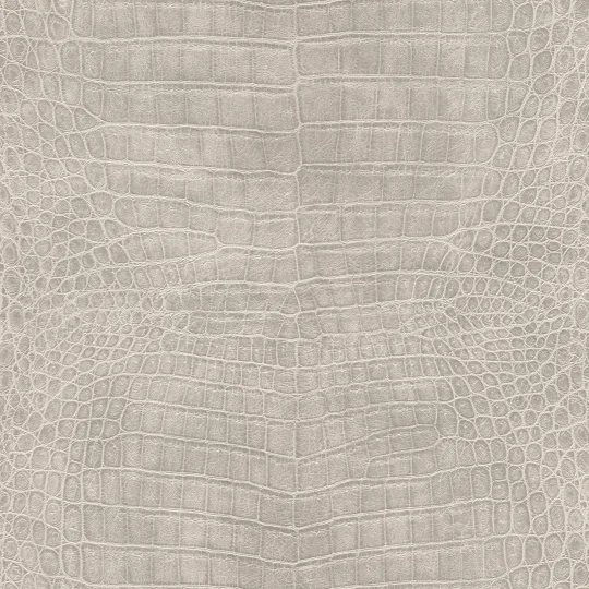 Papier peint — Ficelle