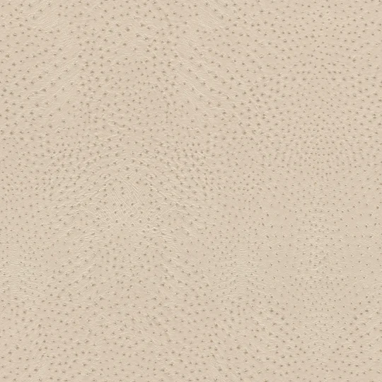 Papier peint — Praline