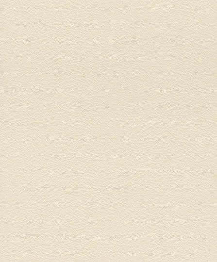 Papier peint — Biscuit