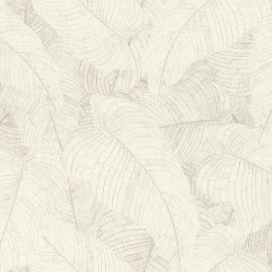 Papier peint — Farine