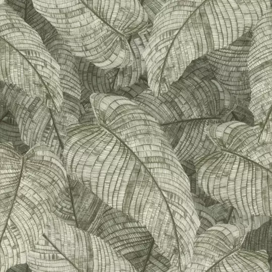 Papier peint — Curcuma