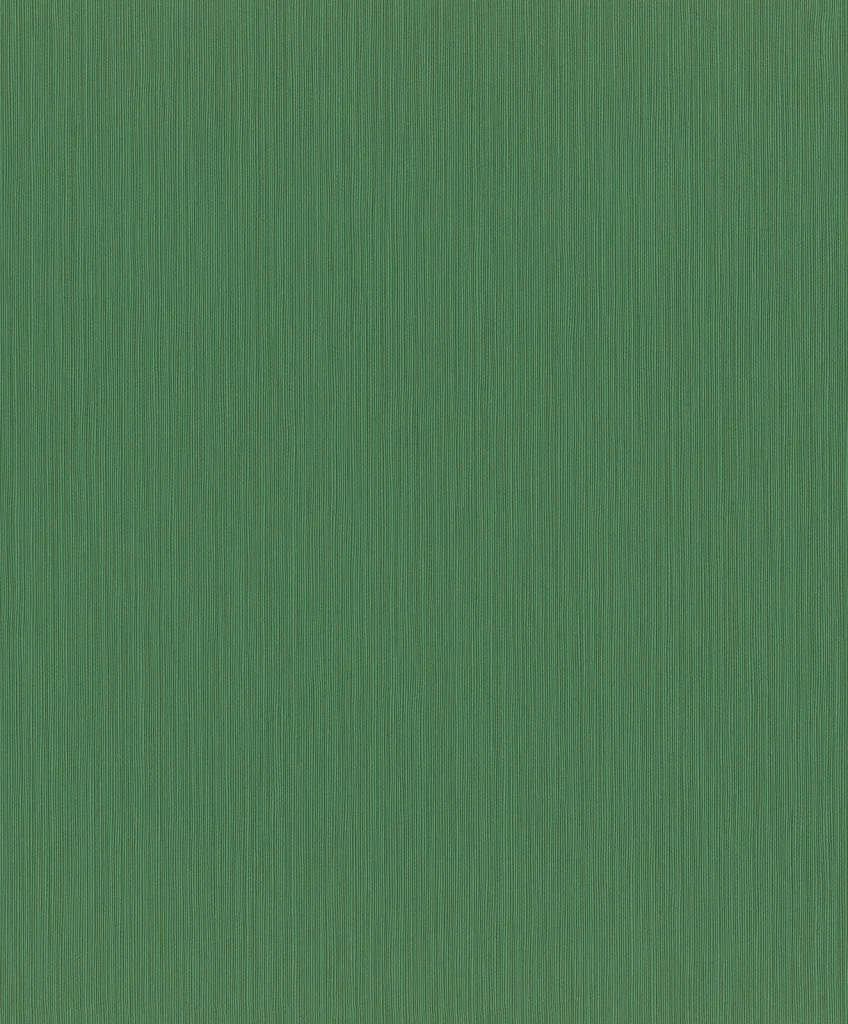Papier peint — Menthe