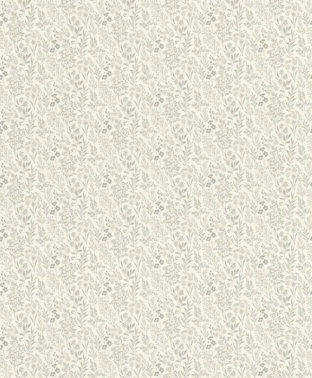 Papier peint — Silex Givré