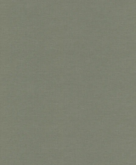 Papier peint — Cendre Brumeuse