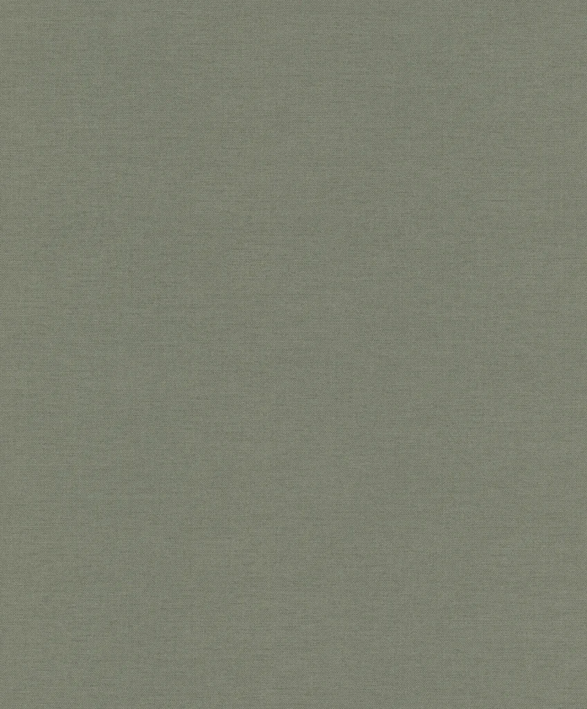 Papier peint — Cendre Brumeuse