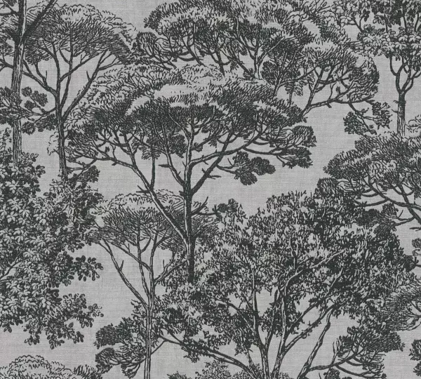 Papier peint — Brume Tendre