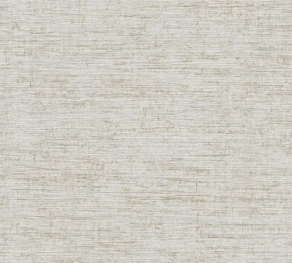 Papier peint — Argent Givré