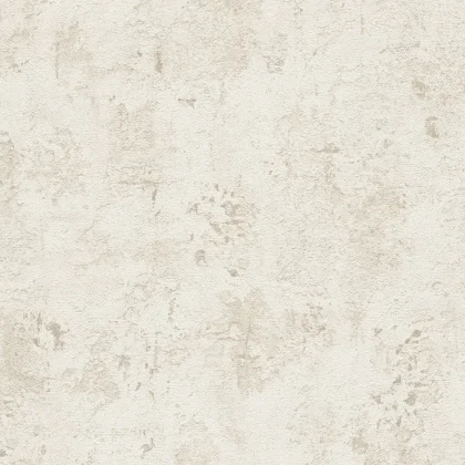 Papier peint — Coquille Voilée