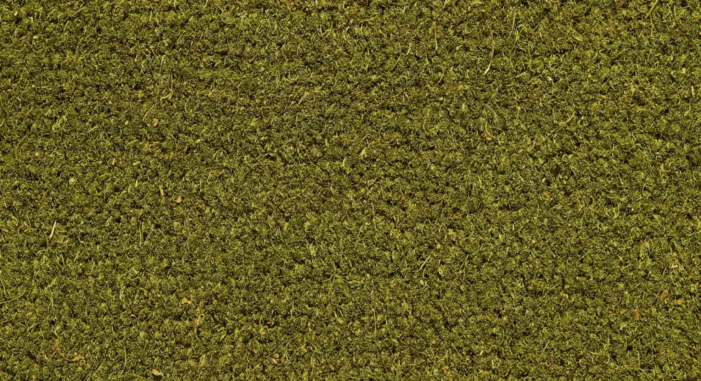 Tapis brosse — Bouton d’or