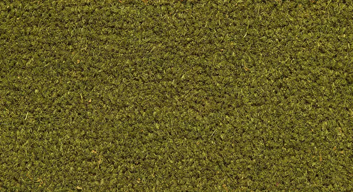 Tapis brosse — Bouton d’or