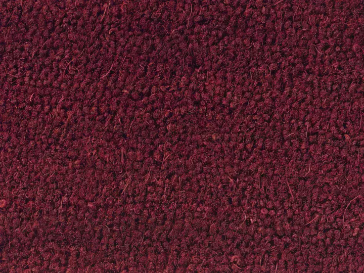 Tapis brosse — Groseille