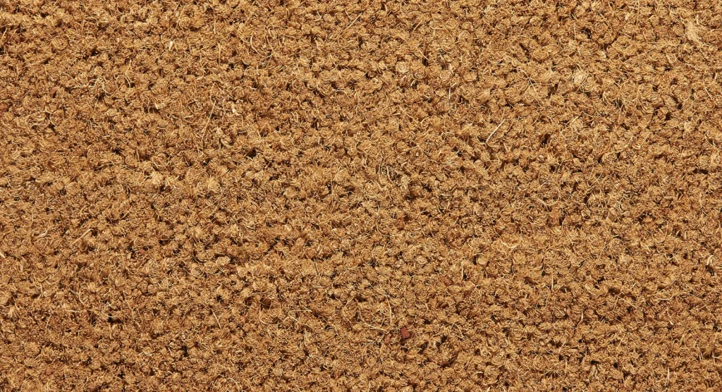 Tapis brosse — Noisette