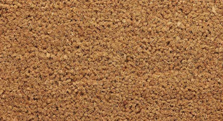 Tapis brosse — Noisette